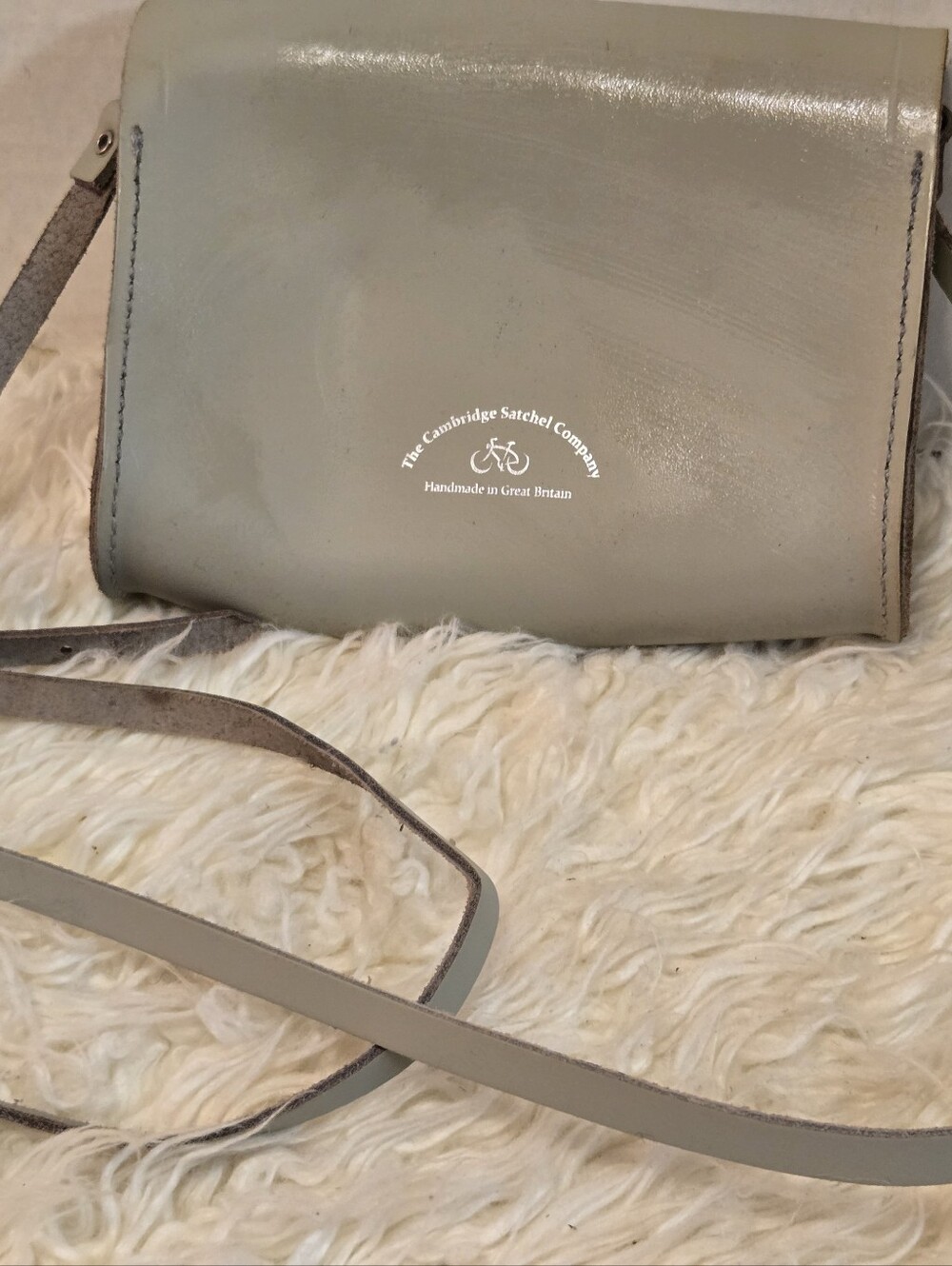 Small Mint Green Crossbody Bag
